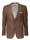 Carl Gross Sander colberts 41.326s0  icon