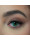 DEZZY'S Kleurlenzen | emerald green ( jaarlenzen)  icon