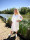 CKS 305503 wtm dress droppy white medium  icon