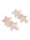 LeBig Hc00040  icon