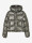 Indian Blue 970433  icon