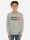 Levi's Batwing crewneck melee  icon