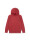 Levi's Badwing chesthit hoodie gewassen  icon