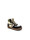 Pinocchio P1803  icon