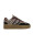 PS Poelman Anemone lpanemone-49poe1 / bruin  icon