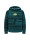 Retour Fast rjb-53-723  icon