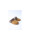 Dubarry Rockmill 84 pantoffels  icon