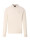 Tommy Hilfiger Menswear polo  icon