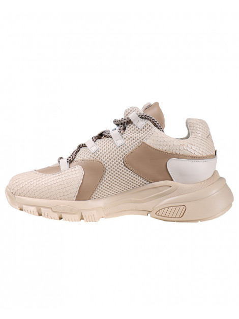 toral beige sneakers