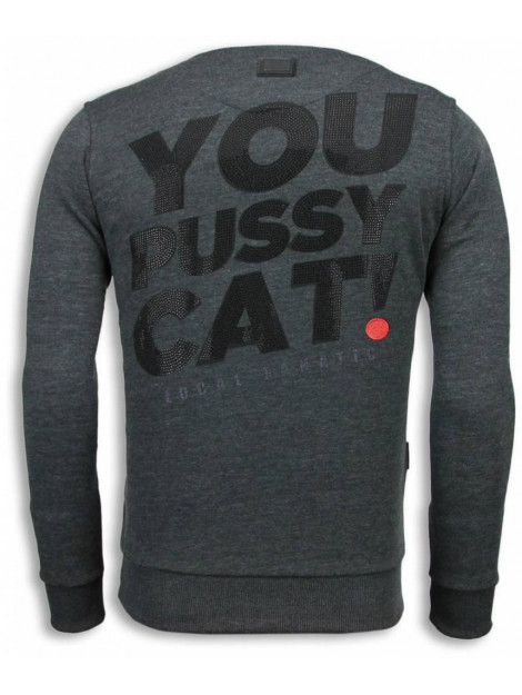 Local Fanatic Pussy cat rhinestone sweater 5914A large