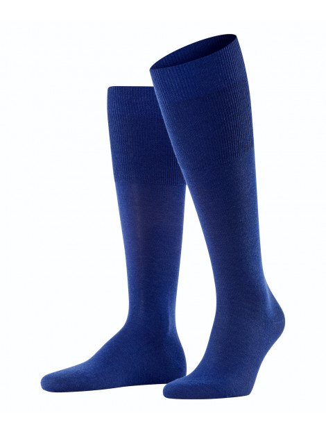 Falke 15435  15435  large