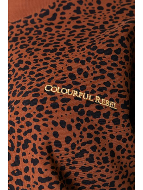 Colourful Rebel Leopard Loosefit Highneck Sweater 9216 large