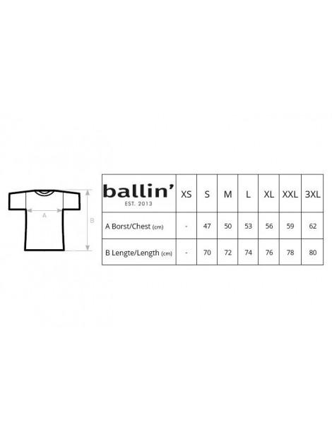 Ballin Est. 2013 Small logo shirt SH-H00051-WHT-L large