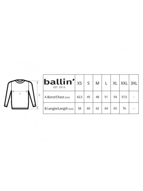 Ballin Est. 2013 Panter block sweater SW-D00725-WHT-XS large