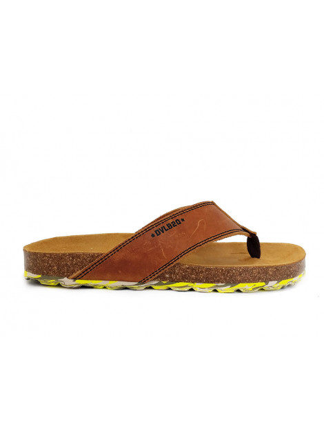 Develab Slippers
