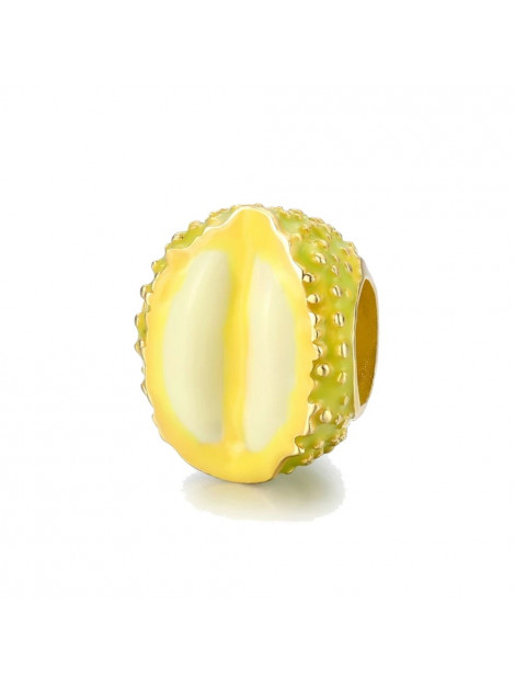 Mijn bedels Bedel durian fruit BSC402|one size large