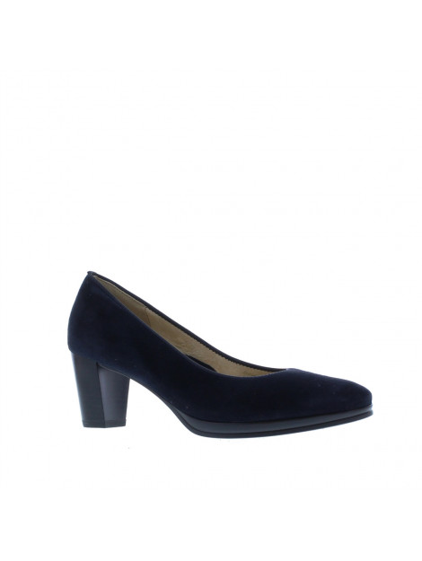 Ara Pump 106891 106891 large