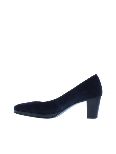 Ara Pump 106891 106891 large