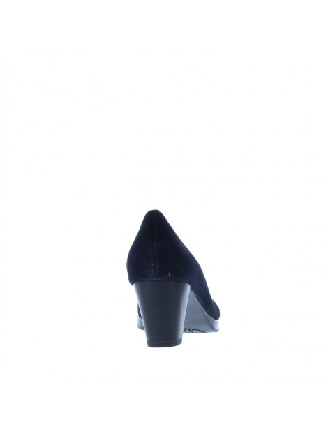Ara Pump 106891 106891 large