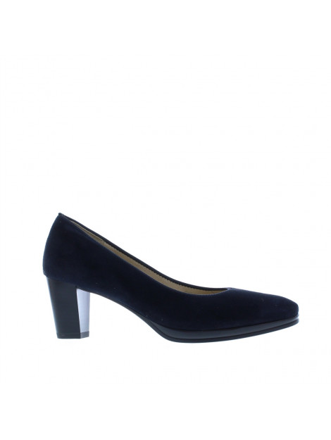 Ara Pump 106891 106891 large