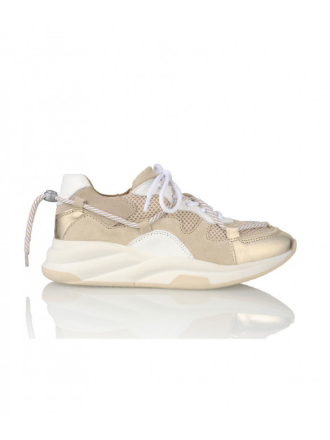 DWRS Label B10070-01 maryland white/beige B10070-01 large DWRS Label B10070-01 maryland white/beige B10070-01 large