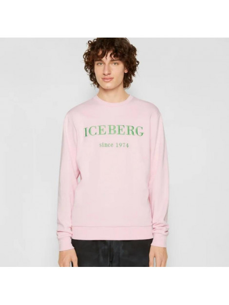 Iceberg Sweater Sweater Roze large