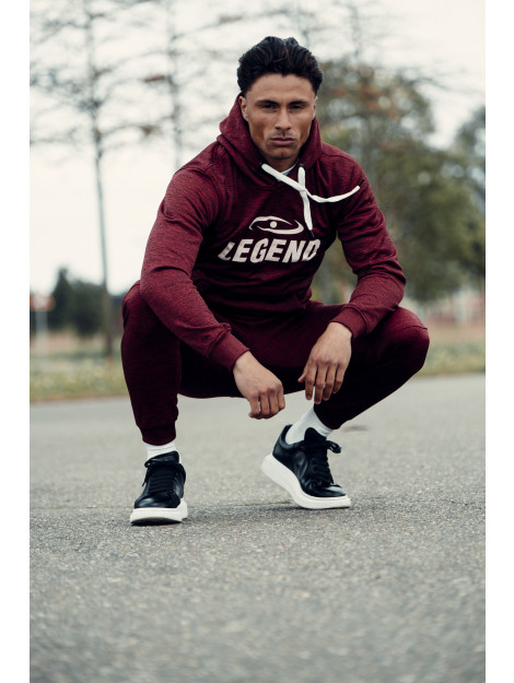 Legend Sports Joggingpak met hoodie kids/volwassenen slimfit polyester PSW37HRDL large