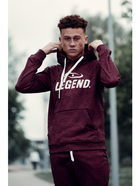 Legend Sports Joggingpak met hoodie kids/volwassenen slimfit polyester PSW37HRDL large