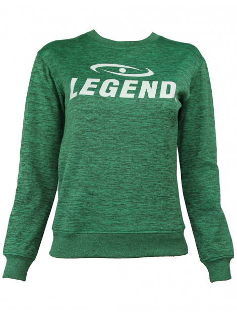 Legend Sports Sweater kids/volwassenen slimfit polyester PSW20GNXS large