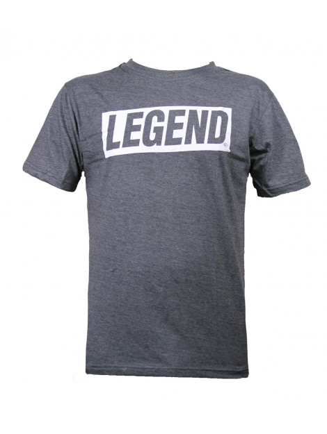 Legend Sports T-shirt inspiration kids/volwassenen polyester/katoen PSW31QUGREYL large