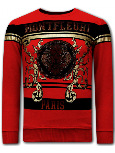Montfleuri Sweater met print leeuw strass 3767 large