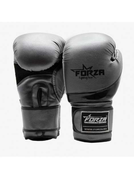 Forza articial boxing gloves antique silver - 051309_930-6 OZ large