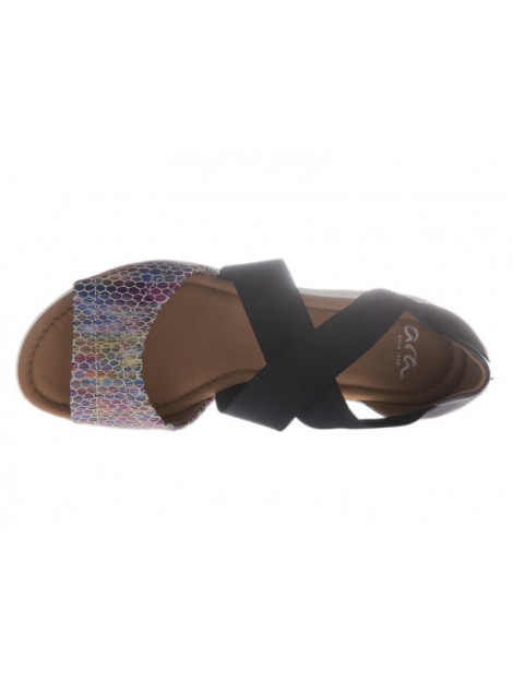 Ara 12-36050 12-36050 large