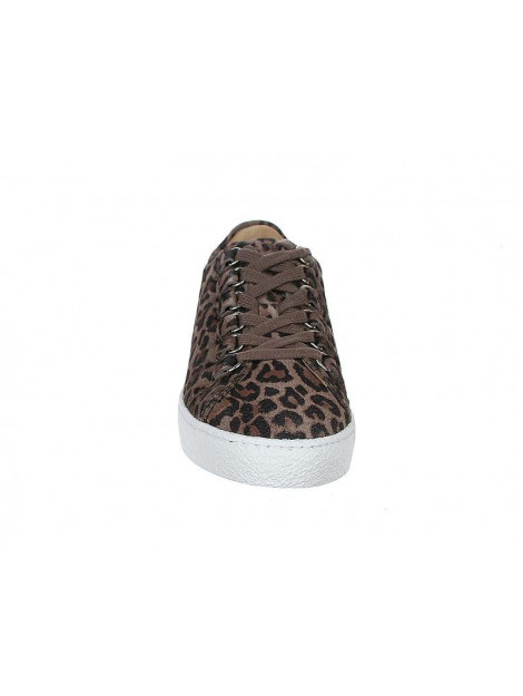 Aqa A6421 A6421 large