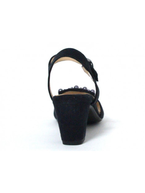 Ara 12-34675 12-34675 large