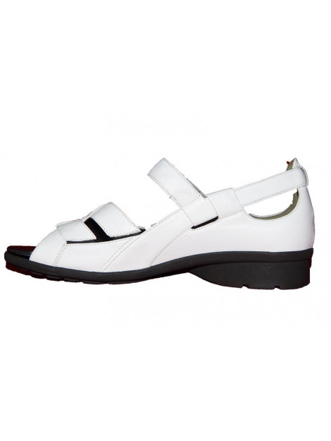 Verhulst 578155 wijdte g 578155 wijdte G large