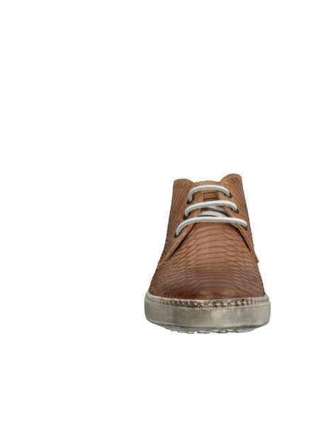 Lorenzi 2030 2030 large