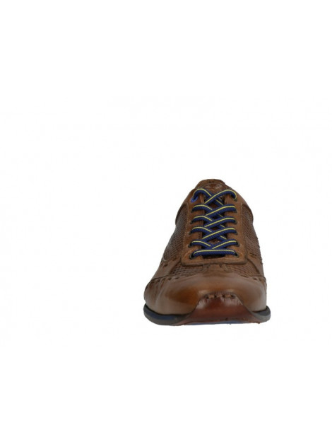 Lorenzi 4301 4301 large