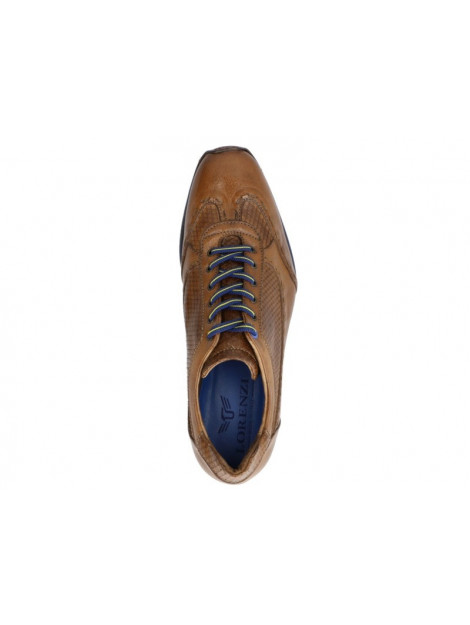 Lorenzi 4301 4301 large