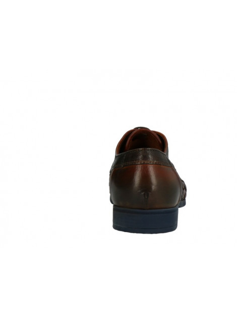 Lorenzi 5931 5931 large