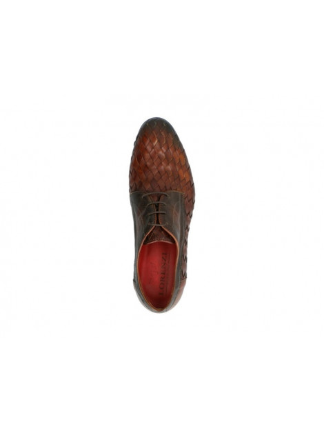 Lorenzi 5931 5931 large