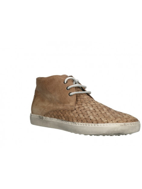 Lorenzi 2029 2029 large