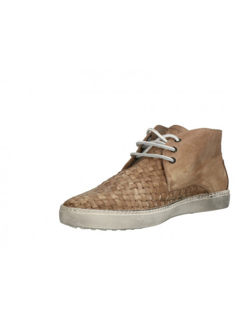 Lorenzi 2029 2029 large