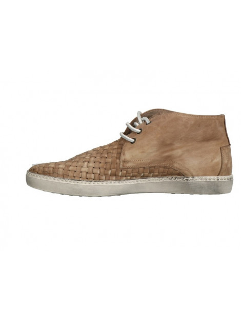 Lorenzi 2029 2029 large