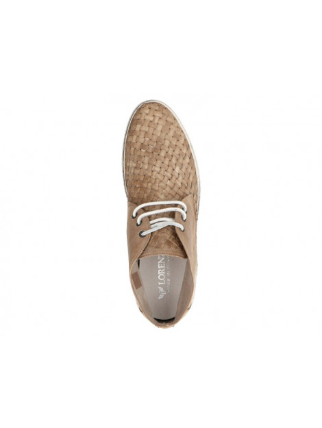 Lorenzi 2029 2029 large