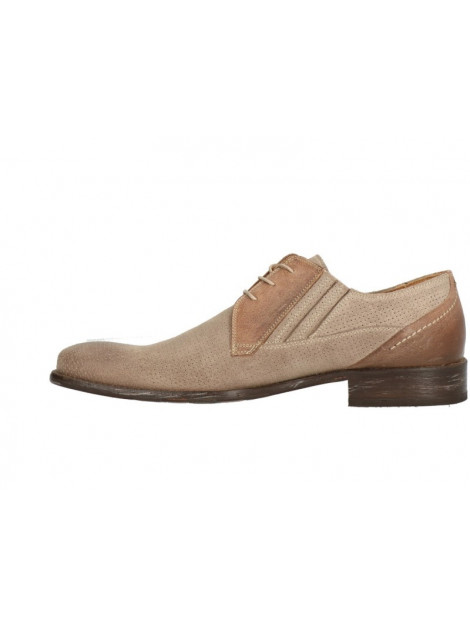 Lorenzi 8698 8698 large