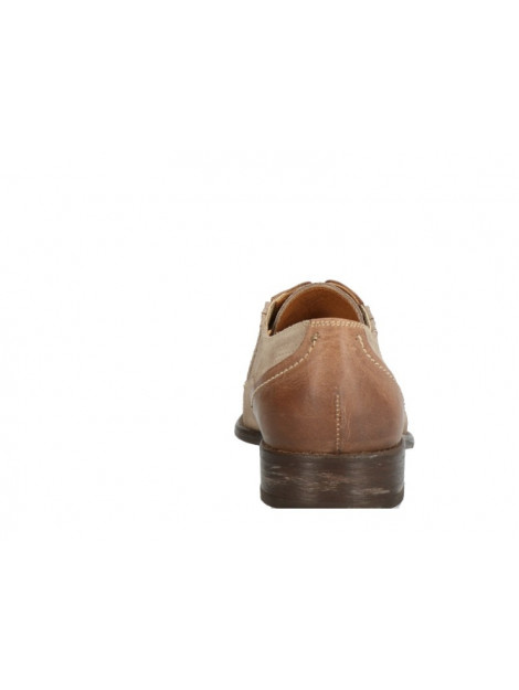 Lorenzi 8698 8698 large