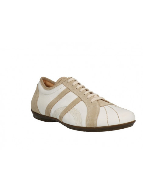 Lorenzi 6043 6043 large