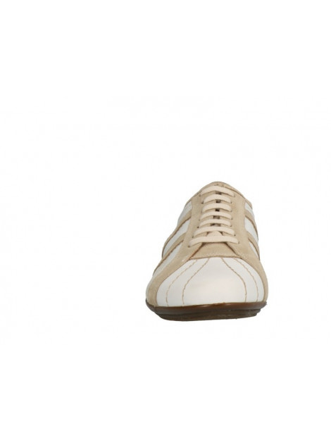 Lorenzi 6043 6043 large