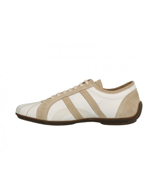 Lorenzi 6043 6043 large